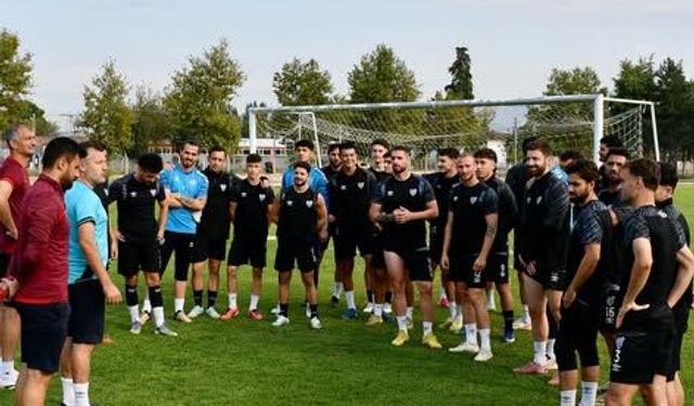Spor