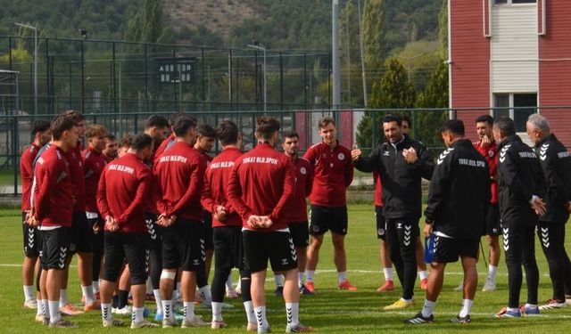 Spor