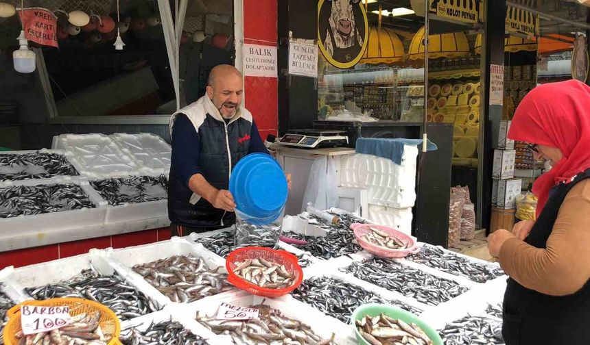 Balıkçılar halk günü yaptı: Hamsinin kilosu 35 TL’den satışa sunuldu