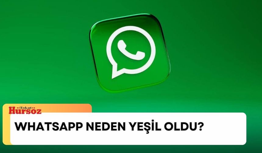 WhatsApp neden yeşil oldu 2024? WhatsApp neden yeşile döner?