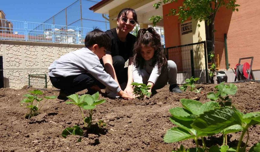 Okul bahçesine öğrencileri için tarım alanı oluşturdu