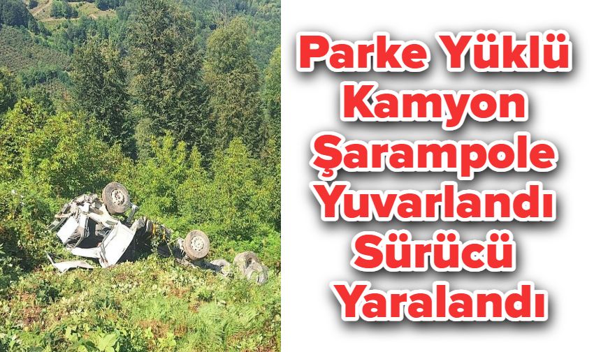 Parke Yüklü Kamyon Şarampole Yuvarlandı: Sürücü Yaralandı