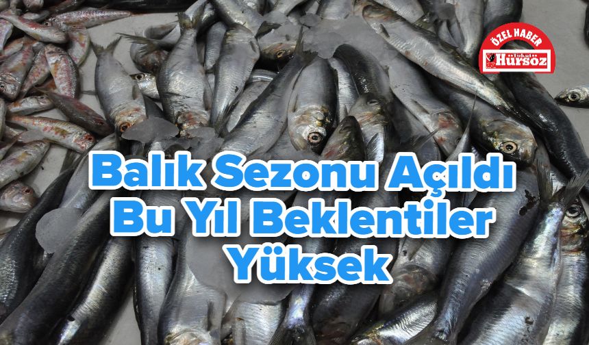 Balık Sezonu Açıldı! Bu Yıl Beklentiler Yüksek