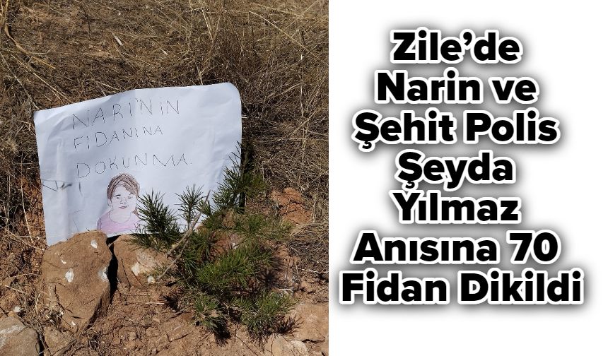 Zile’de Narin ve Şehit Polis Şeyda Yılmaz Anısına 70 Fidan Dikildi