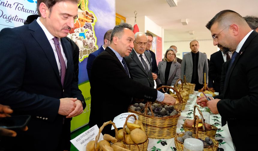 Tokat Gaziosmanpaşa Üniversitesi’nden Üreticilere Milli Patates Tohumları Dağıtımı