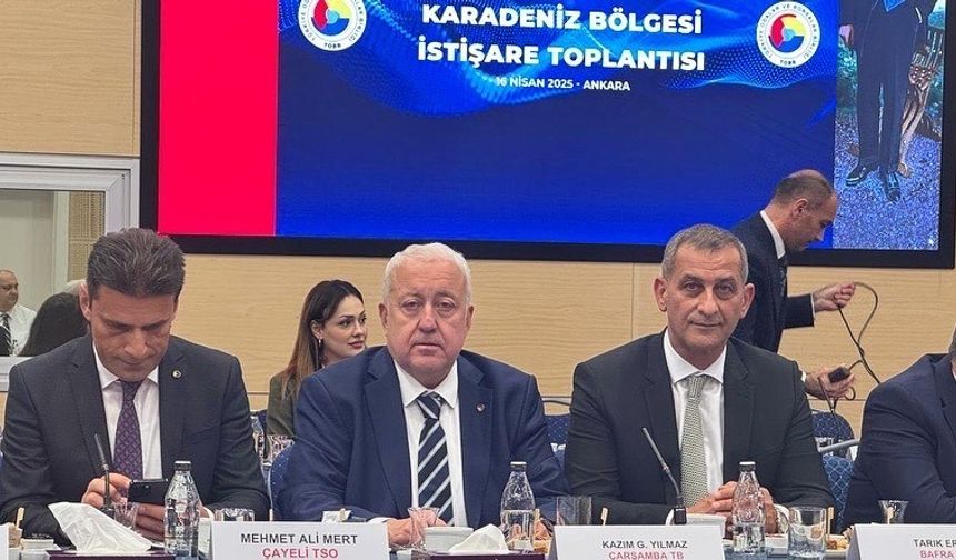 Karadeniz Bölgesi İstişare Toplantısı