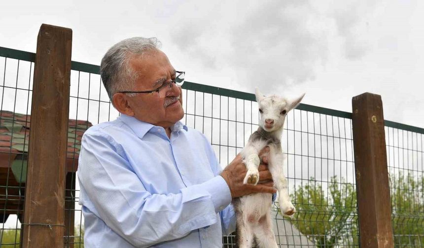 Başkan Büyükkılıç, hayvanat bahçesini ziyaret etti