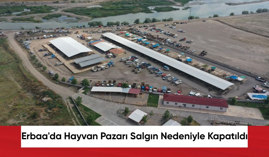 Erbaa'da Hayvan Pazarı Salgın Nedeniyle Kapatıldı