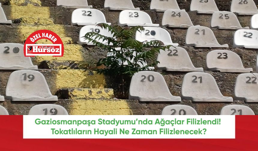 Gaziosmanpaşa Stadyumu’nda Ağaçlar Filizlendi! Tokatlıların Hayali Ne Zaman Filizlenecek?