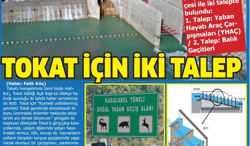 TOKAT İÇİN İKİ TALEP