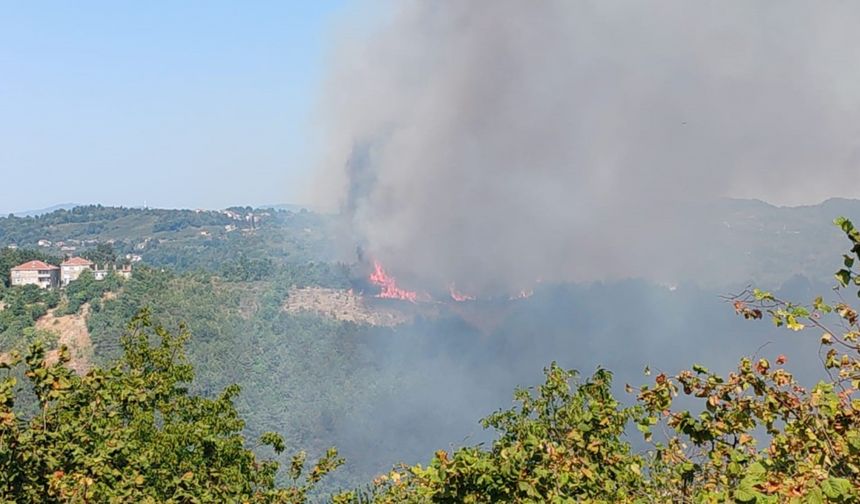 Alaplı’da ormanlık alanda yangın