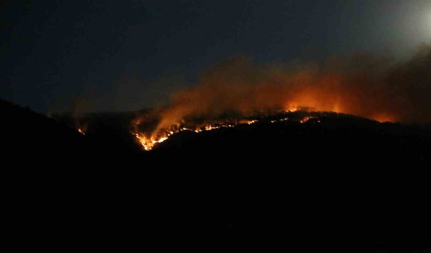 Çankırı’daki orman yangınına ekiplerin müdahalesi sürüyor