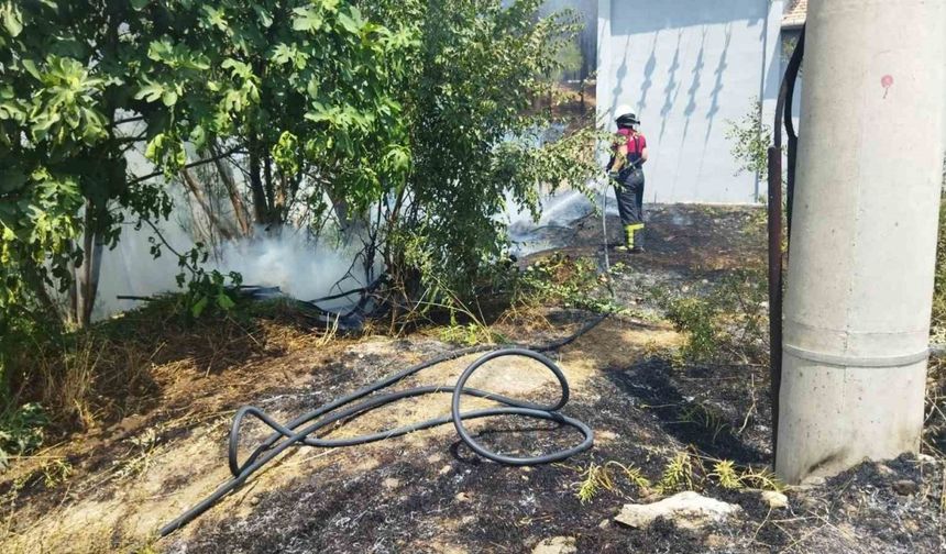 Çorum’da ormanlık alandaki örtü yangını büyümeden söndürüldü
