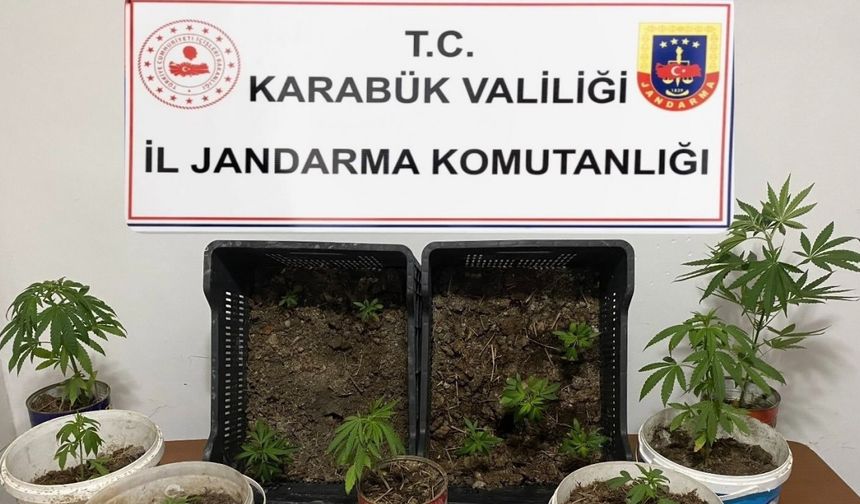 Karabük’te iki evde 14 kök kenevir ele geçirildi