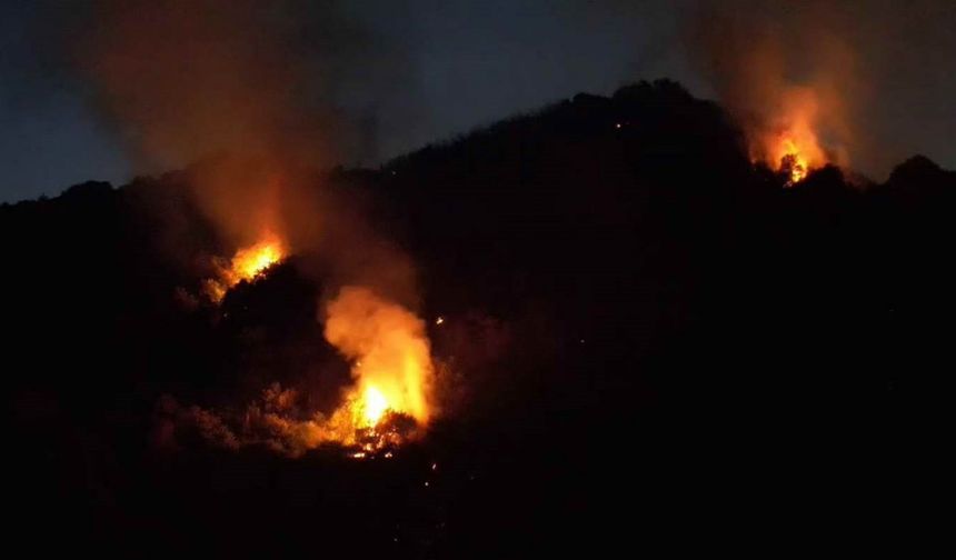 Karadeniz Ereğli’deki orman yangını 3,5 saat sonra kontrol altına alındı