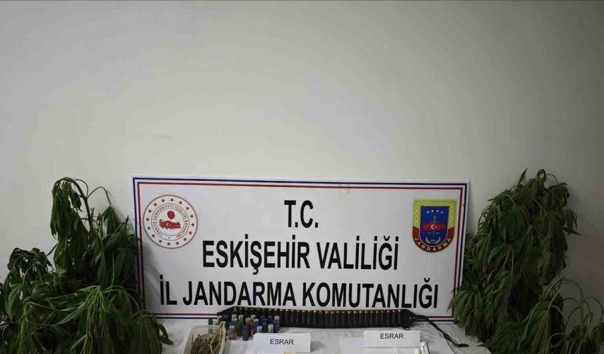 Kenevir bitkisi ekimi yapılan ikamete operasyon düzenledi