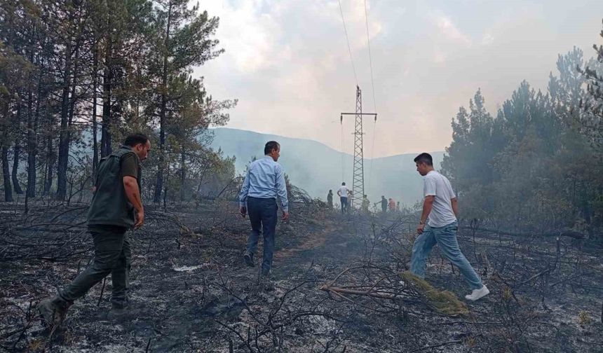 Ormanlık alandaki örtü yangını kontrol altına alındı