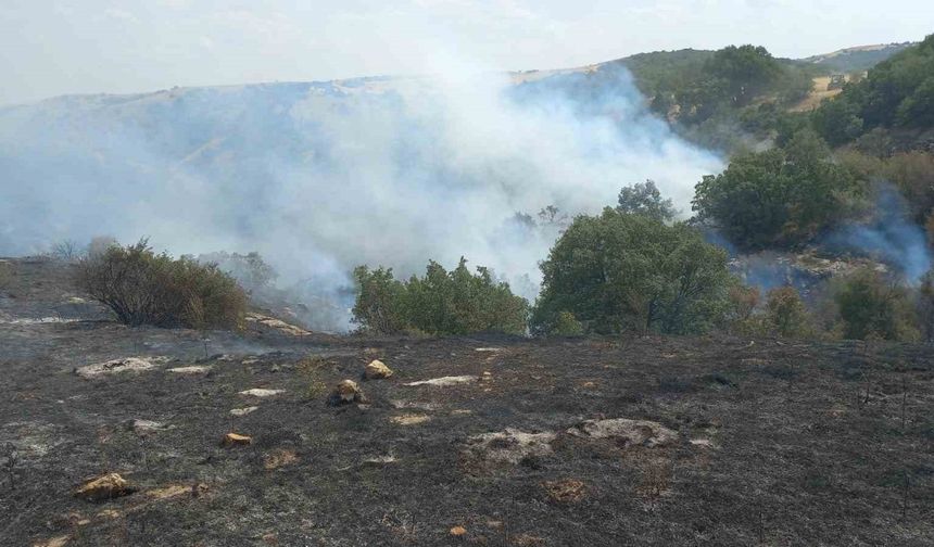 Uludere mahallesinde çıkan yangın kontrol altına alındı