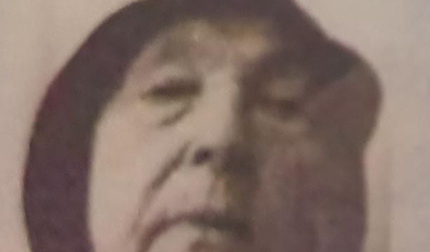 Yaşlı kadın ormanlık alanda kayboldu