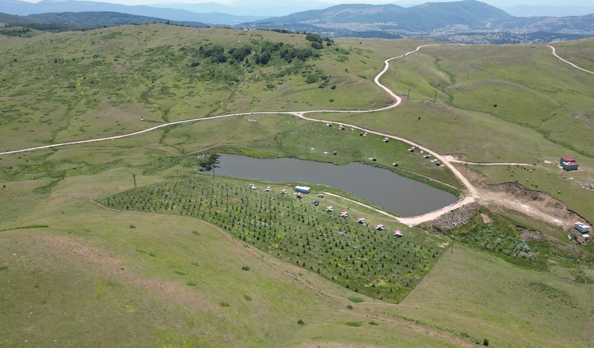 Hebüllü Halkı İmece Ruhuyla Doğa Harikası Yarattı