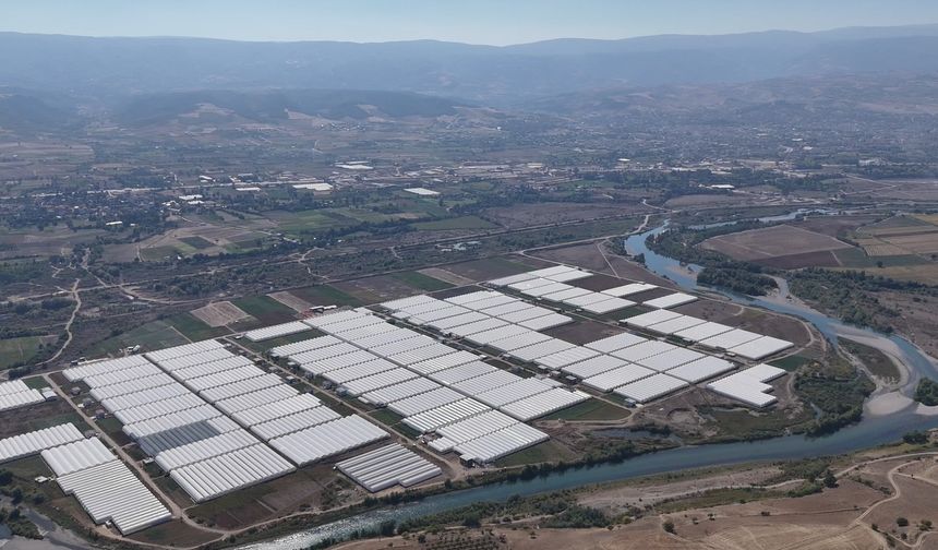 Otlaklar, İstihdamın ve Üretimin Seralarına Dönüştü