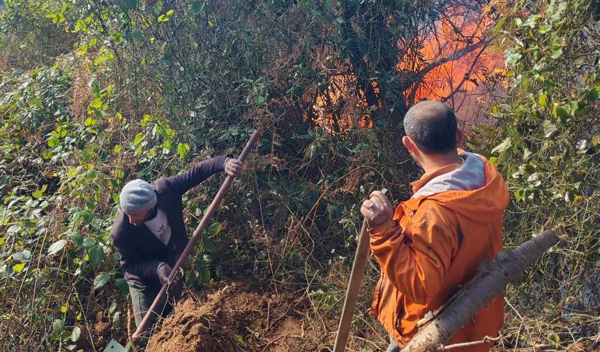 Artvin Hopa'da 5 hektarlık alanı küle çeviren yangınla mücadele sürüyor
