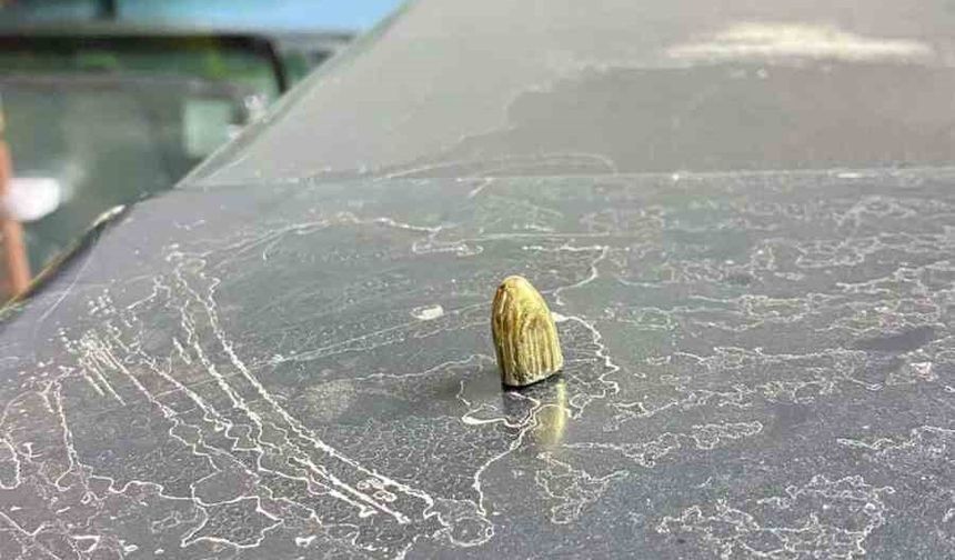 Artvin'de maganda kurşunu park halindeki araca ve iş yerine isabet etti