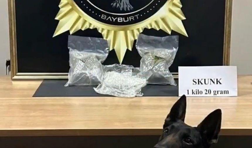 Bayburt’ta bavula yerleştirilmiş 1 kilo 20 gram skunk ele geçirildi
