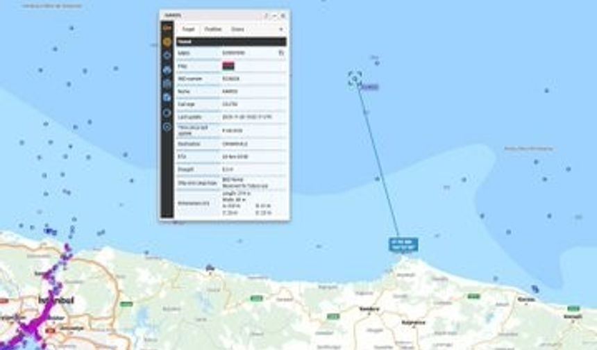 Denizcilik Genel Müdürlüğü: 'Gemideki 25 personelin durumu iyi'