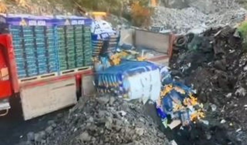 Sarp Sınır Kapısı'nda 6 ton mandalina imha edildi: Zirai ilaç kalıntısı tespit edildi