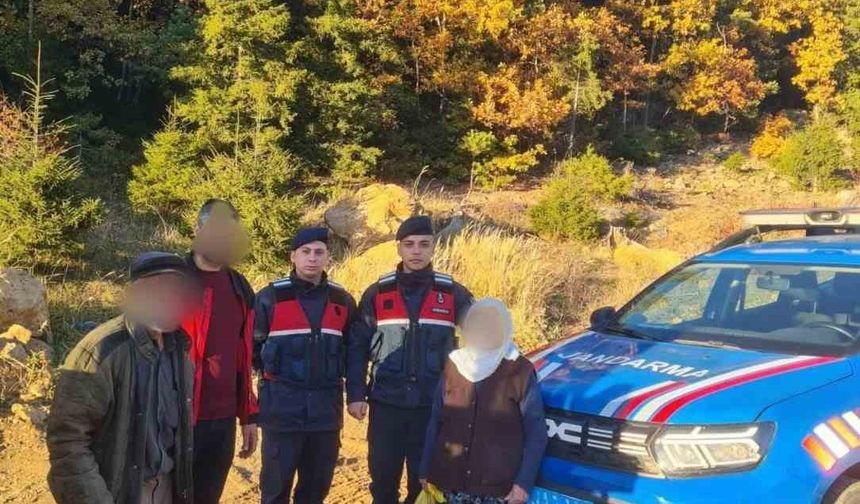 Şavşat’ta ormanda kaybolan 85 yaşındaki kadın bulundu