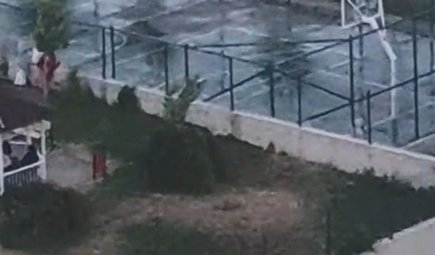 Ankara'da iki kardeşe saldıran pitbullun sahibinin, köpeğini tasmasız ve ağızlıksız gezdirdiği görüntüler ortaya çıktı