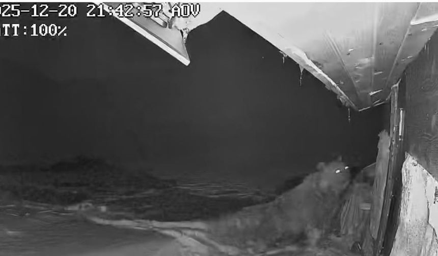 Ayılar kış uykusu nedir bilmiyor, yayla evlerine saldırıları sürüyor