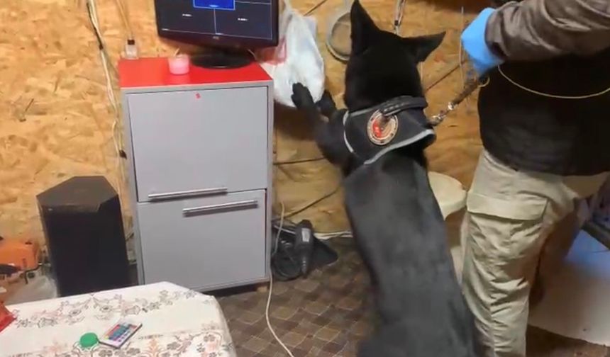 Bağ evindeki uyuşturucu düzeneğini 'Tony' ortaya çıkardı