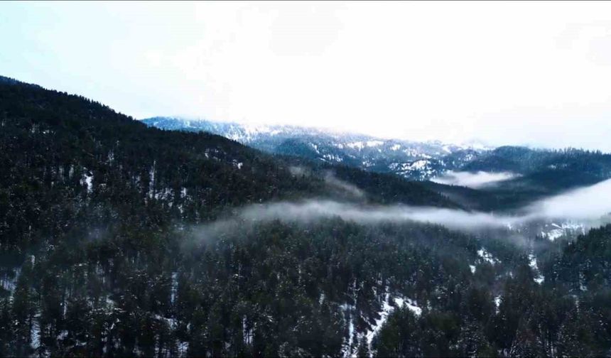Beyaza bürünen Ilgaz Dağı havadan görüntülendi