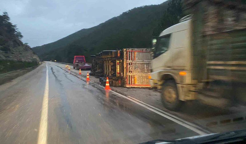 Bolu'da odun yüklü tır devrildi