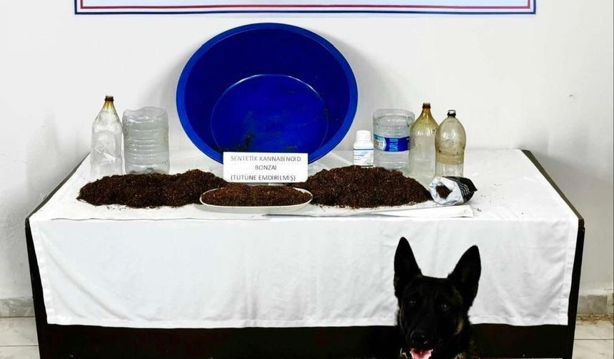 Çankırı'da uyuşturucu operasyonu: 1 gözaltı