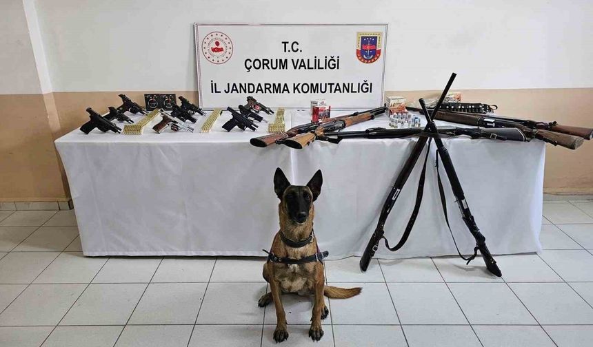 Çorum jandarmasından 'düğün magandaları'na operasyon : 11 gözaltı