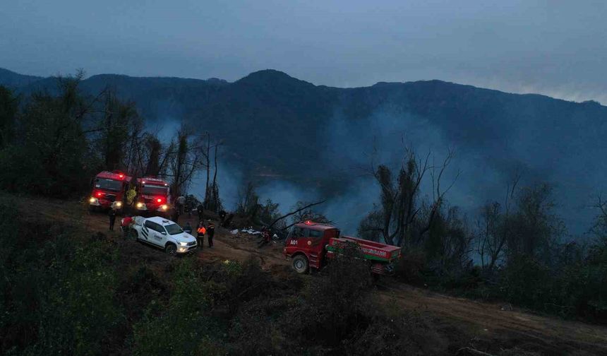 Hopa'daki orman yangını söndürüldü, soğutma çalışmaları sürüyor