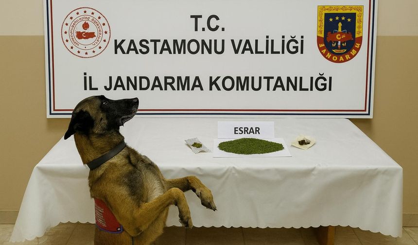 Kastamonu'da uyuşturucu operasyonu: 1 tutuklama