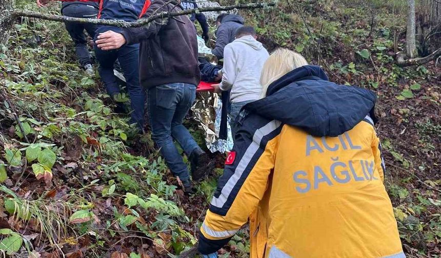 Otomobil ormanlık alana uçtu, 2 yaralı