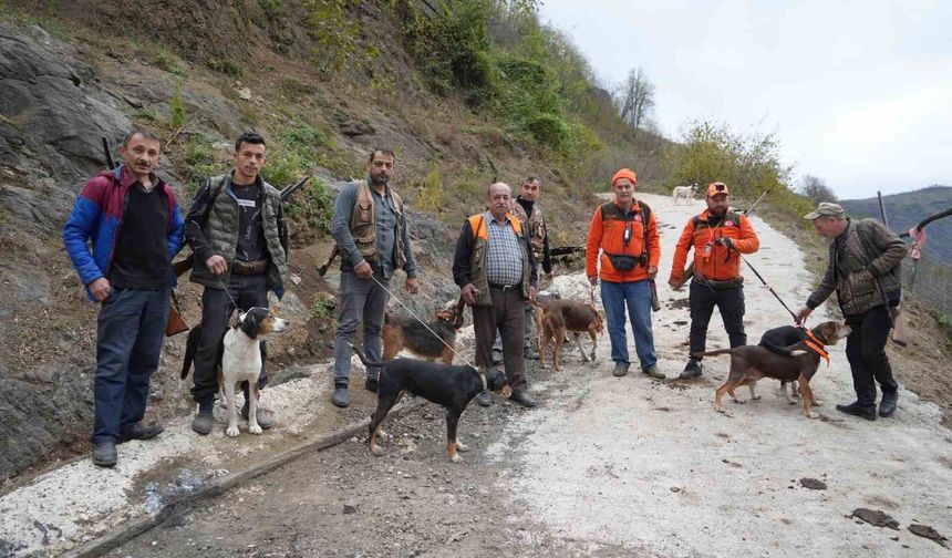 Samsun'da domuz alarmı: Avcılığa 'takoz' engeli