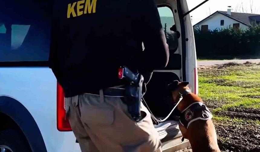 Bolu'da 14 adrese uyuşturucu operasyonu: 3 tutuklama