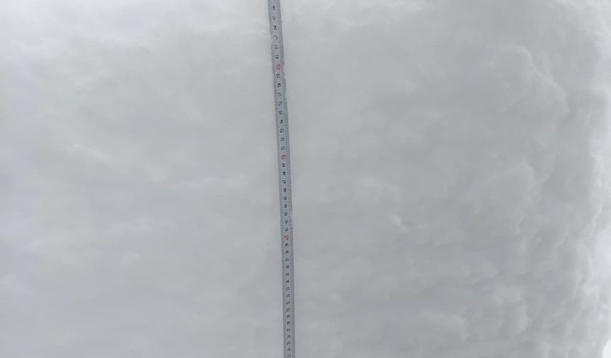 Gümüşhane'de yoğun kar yağışı sonrası yayınladığı videoyla yardım istedi