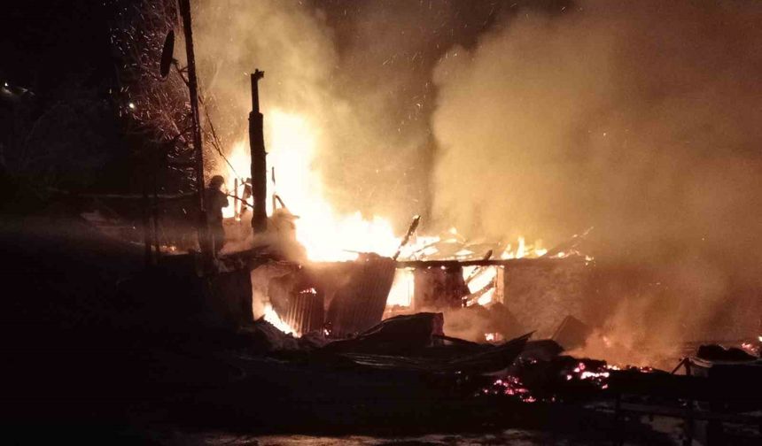 Ordu'da evini ateşe veren şahıs ağaçta asılı halde bulundu