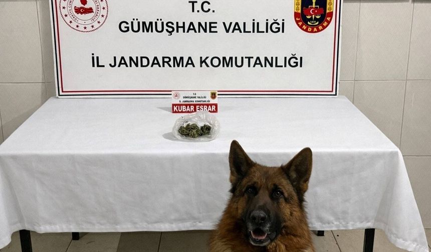 Gümüşhane'de uyuşturucu operasyonu