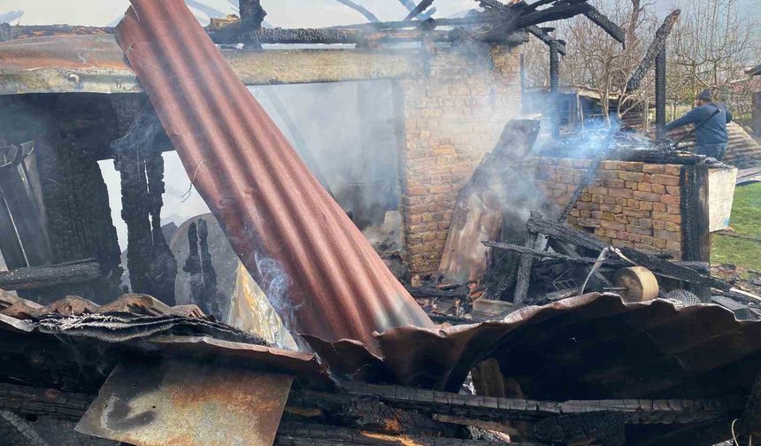 Karabük'te müştemilat yangını: 2 köpek yavrusu telef oldu