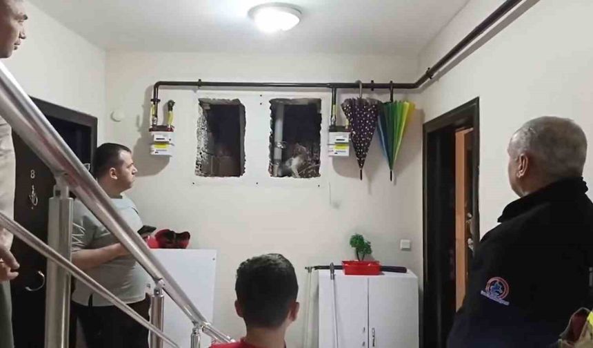 Küçük Yaser Kaan'ın dikkati kediyi kurtardı