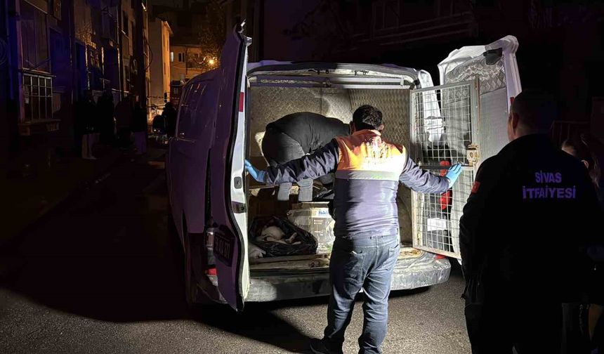 Sivas'ta 2 katlı evde çıkan yangında 26 kedi telef oldu