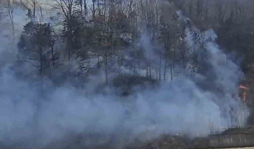 Trabzon'da örtü yangınları